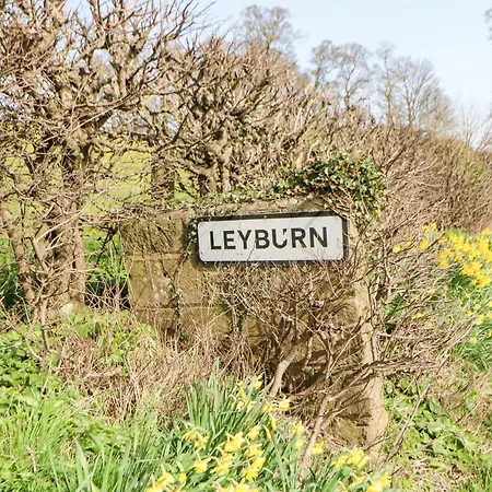 Pennycress * Leyburn