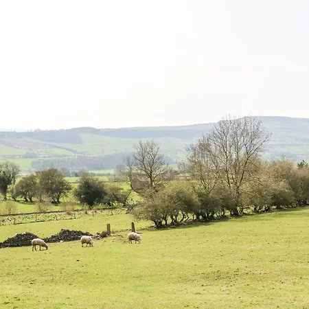Pennycress * Leyburn