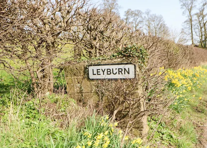 Pennycress * Leyburn