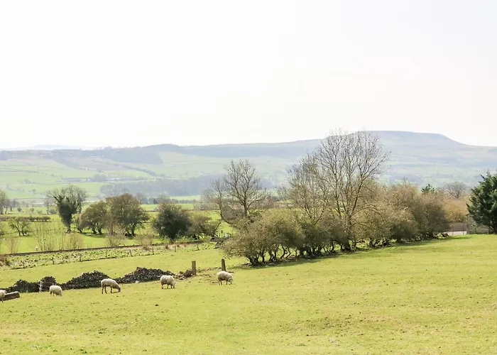 Pennycress * Leyburn